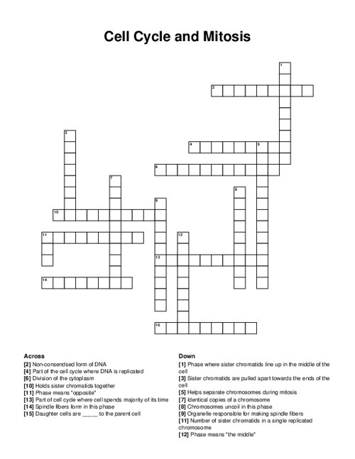 Cell Cycle and Mitosis Crossword Puzzle