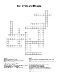 Cell Cycle and Mitosis crossword puzzle
