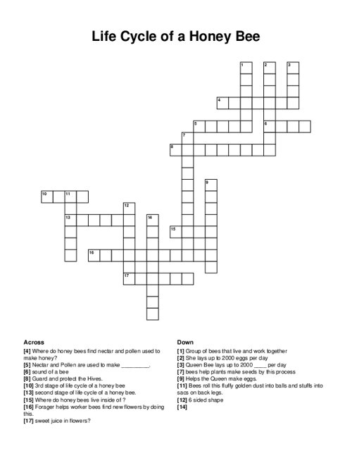 Life Cycle of a Honey Bee Crossword Puzzle