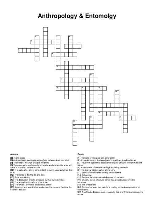 Anthropology & Entomolgy Crossword Puzzle