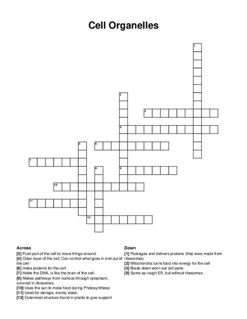 Cell Organelles Crossword Puzzle