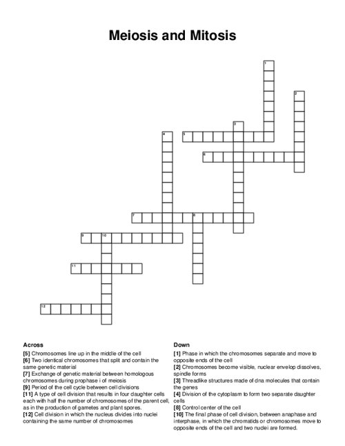 Meiosis and Mitosis Crossword Puzzle
