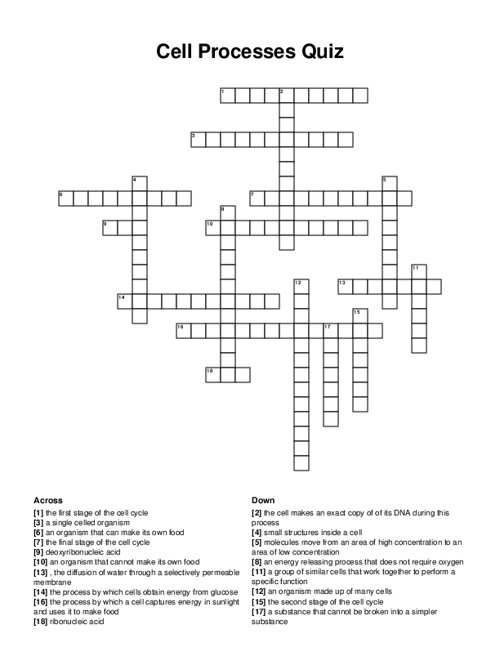 Cell Processes Quiz Crossword Puzzle