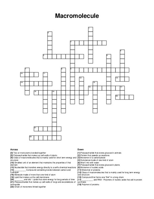 Macromolecule Crossword Puzzle