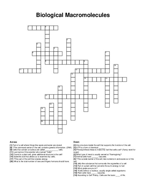 Biological Macromolecules Crossword Puzzle