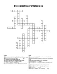 Biological Macromolecules crossword puzzle
