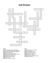 Cell Division crossword puzzle