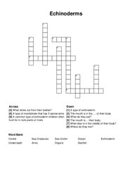 Echinoderms crossword puzzle