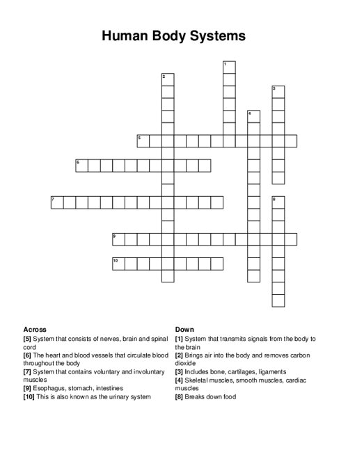 Human Body Systems Crossword Puzzle