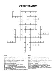 Digestive System crossword puzzle
