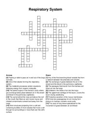 Respiratory System crossword puzzle