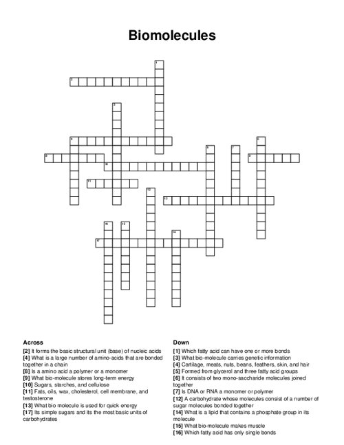 Biomolecules Crossword Puzzle