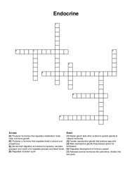 Endocrine crossword puzzle