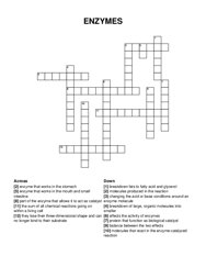 ENZYMES crossword puzzle