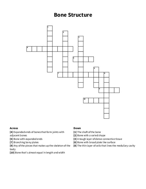 Bone Structure Crossword Puzzle