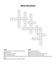 Bone Structure crossword puzzle