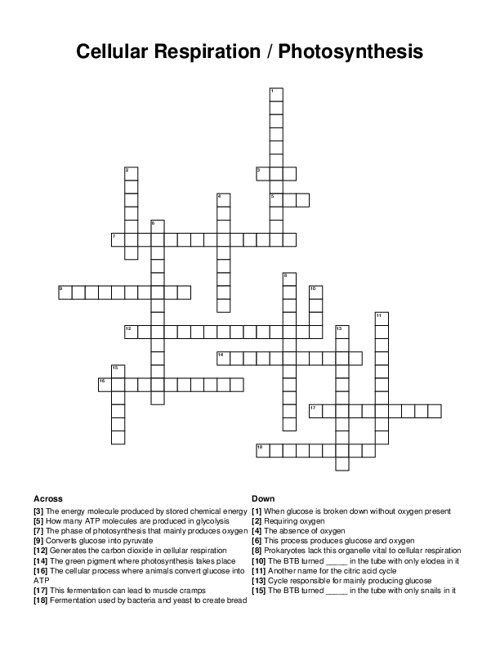 Cellular Respiration / Photosynthesis Crossword Puzzle