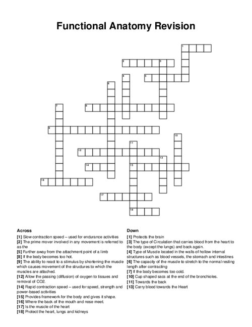 Functional Anatomy Revision Crossword Puzzle