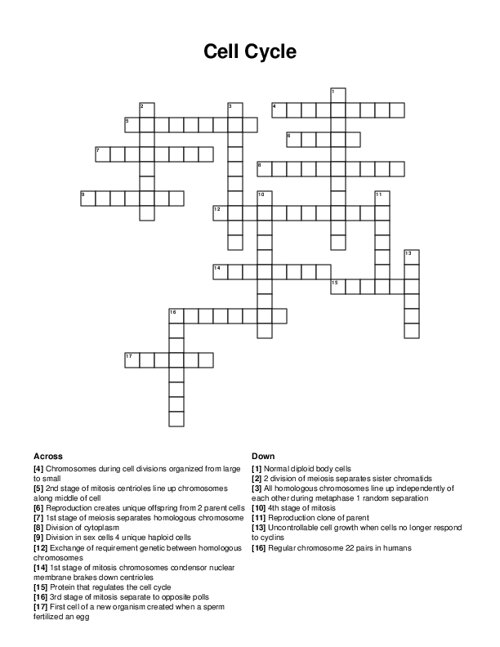 Cell Cycle Crossword Puzzle