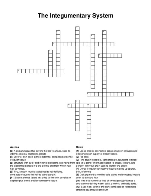 The Integumentary System Crossword Puzzle