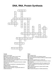 DNA, RNA, Protein Synthesis crossword puzzle