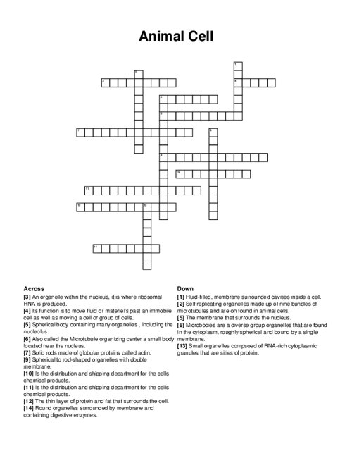 Animal Cell Crossword Puzzle