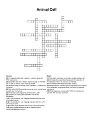 Animal Cell crossword puzzle