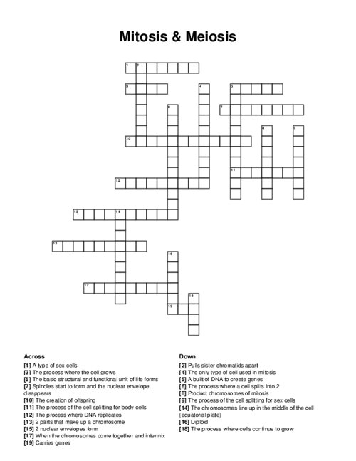 Mitosis & Meiosis Crossword Puzzle
