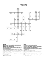 Proteins crossword puzzle