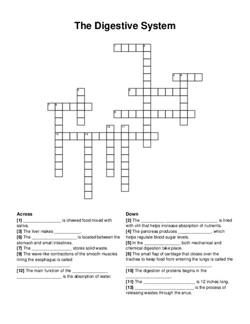 The Digestive System Crossword Puzzle