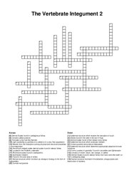 The Vertebrate Integument 2 crossword puzzle