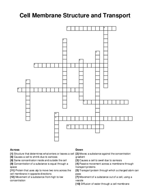 Cell Membrane Structure and Transport Crossword Puzzle