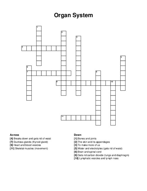 Organ System Crossword Puzzle