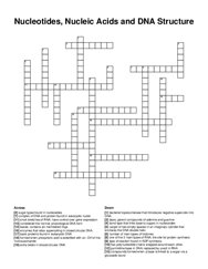 Nucleotides, Nucleic Acids and DNA Structure crossword puzzle