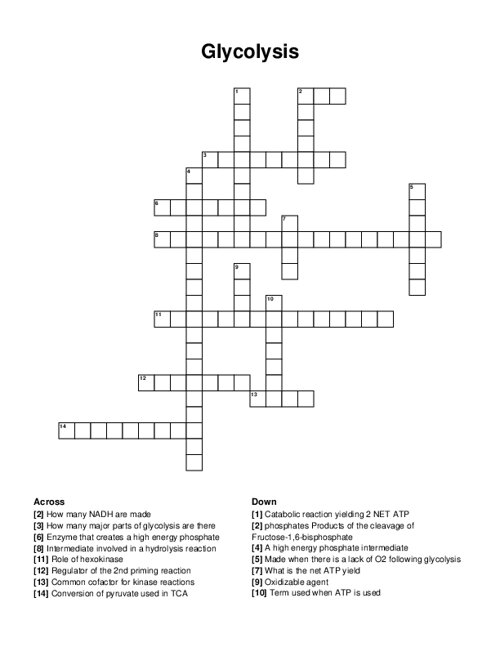 Glycolysis Crossword Puzzle