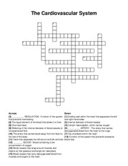 The Cardiovascular System crossword puzzle