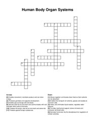 Human Body Organ Systems crossword puzzle