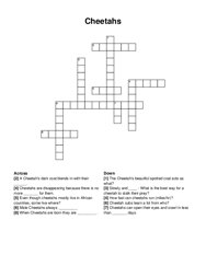 Cheetahs crossword puzzle