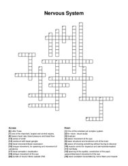 Nervous System crossword puzzle