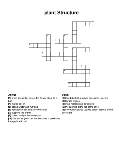 plant Structure Crossword Puzzle