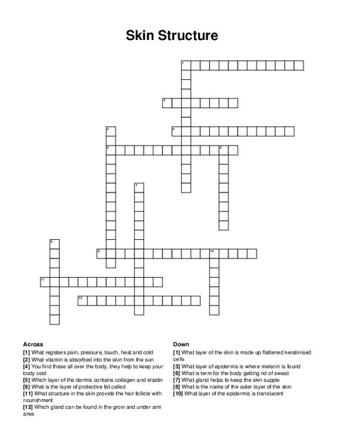 Skin Structure Crossword Puzzle