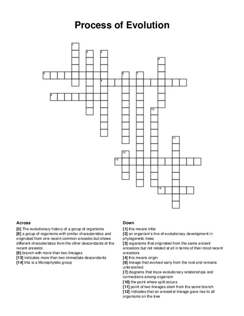 Process of Evolution Crossword Puzzle