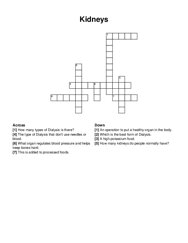 Kidneys crossword puzzle