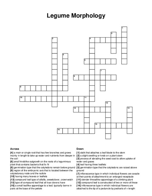 Legume Morphology Crossword Puzzle