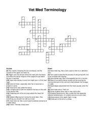 Vet Med Terminology crossword puzzle