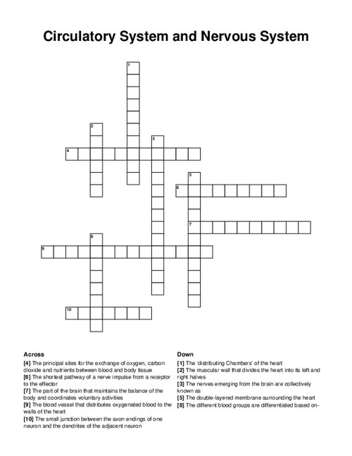 Circulatory System and Nervous System Crossword Puzzle