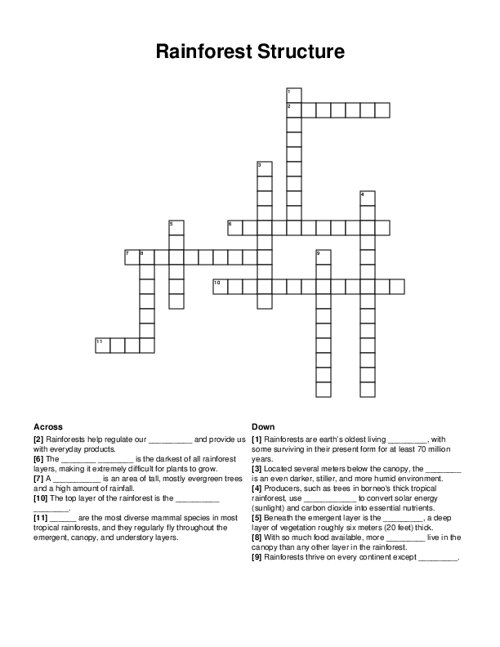 Rainforest Structure Crossword Puzzle