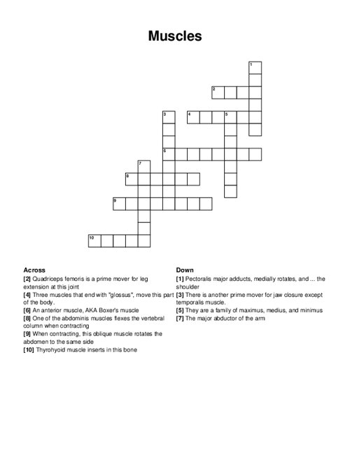 Muscles Crossword Puzzle