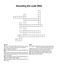Decoding the code DNA crossword puzzle