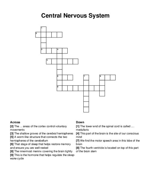 Central Nervous System Crossword Puzzle